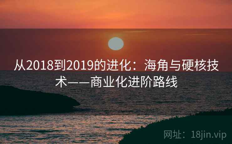 从2018到2019的进化：海角与硬核技术——商业化进阶路线