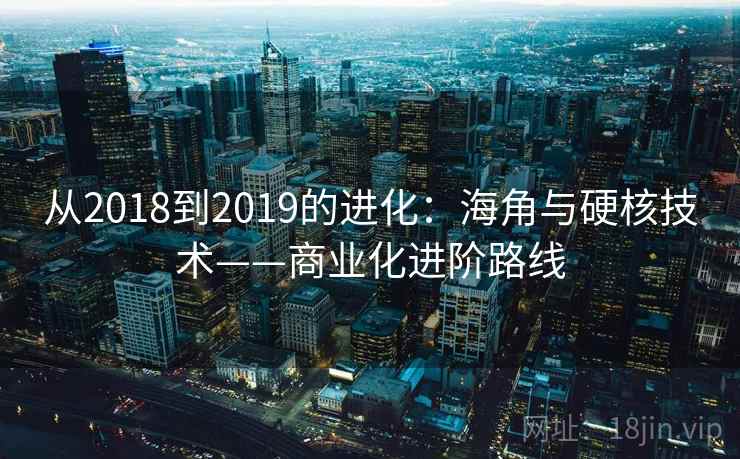 从2018到2019的进化：海角与硬核技术——商业化进阶路线