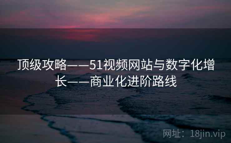 顶级攻略——51视频网站与数字化增长——商业化进阶路线 顶级攻略——51视频网站与数字化增长——商业化进阶路线