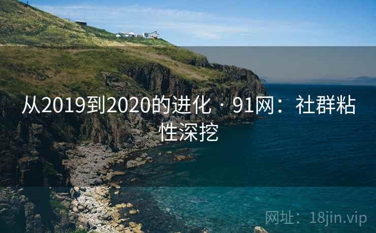 从2019到2020的进化 · 91网:社群粘性深挖 从2019到2020的进化 · 91网:社群粘性深挖