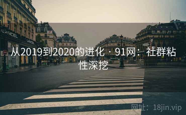 从2019到2020的进化 · 91网:社群粘性深挖 从2019到2020的进化 · 91网:社群粘性深挖