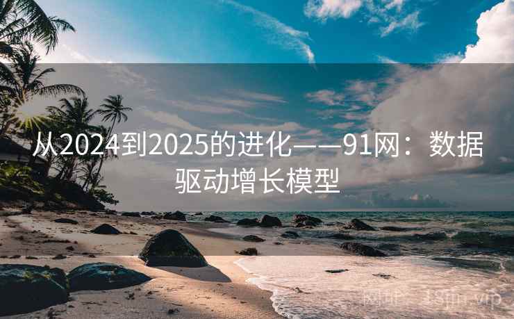 从2024到2025的进化——91网:数据驱动增长模型 从2024到2025的进化——91网:数据驱动增长模型