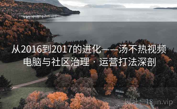 从2016到2017的进化——汤不热视频电脑与社区治理 · 运营打法深剖